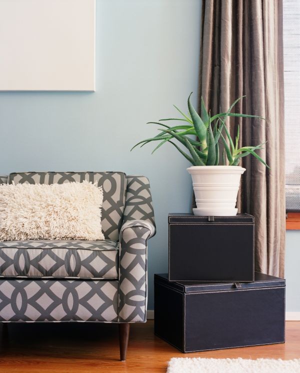 Patterned Gray Chair in Front of Blue Wall