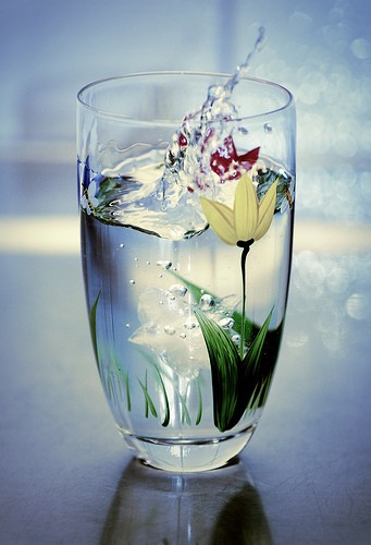 Pijenje vode – umetnost i nauka...